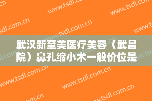 武汉新至美医疗美容（武昌院）鼻孔缩小术一般价位是多少费用?可靠吗?