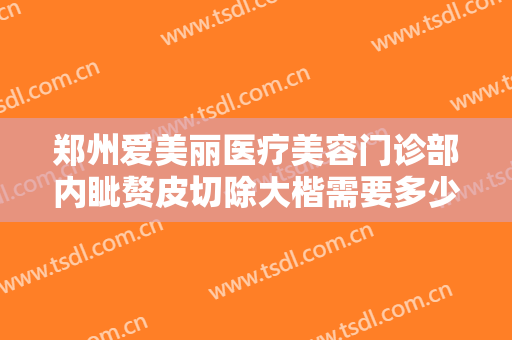郑州爱美丽医疗美容门诊部内眦赘皮切除大楷需要多少费用?怎么样?