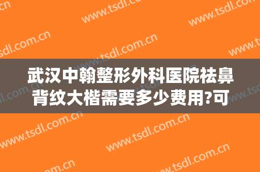 武汉中翰整形外科医院祛鼻背纹大楷需要多少费用?可靠吗?(武汉中翰整形美容医院地址)