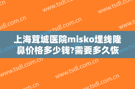 上海茸城医院misko埋线隆鼻价格多少钱?需要多久恢复?