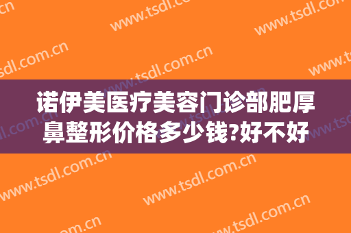 诺伊美医疗美容门诊部肥厚鼻整形价格多少钱?好不好?(诺美德整形美容医院)