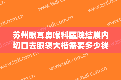 苏州眼耳鼻喉科医院结膜内切口去眼袋大楷需要多少钱?好不好?(苏州哪个医院做眼袋好)