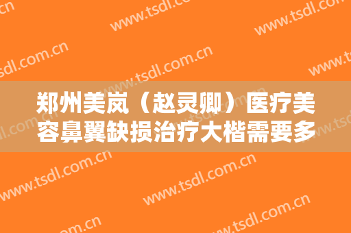 郑州美岚（赵灵卿）医疗美容鼻翼缺损治疗大楷需要多少费用?贵不贵?