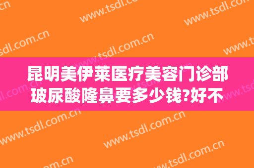 昆明美伊莱医疗美容门诊部玻尿酸隆鼻要多少钱?好不好?(昆明伊莱美医疗美容怎么样)