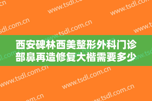 西安碑林西美整形外科门诊部鼻再造修复大楷需要多少费用?有哪些优势?