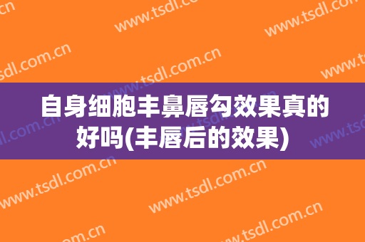 自身细胞丰鼻唇勾效果真的好吗(丰唇后的效果)