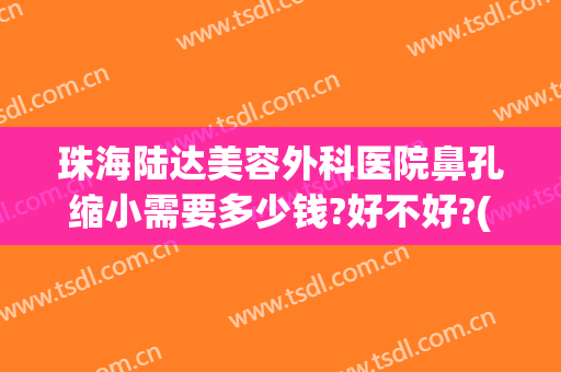 珠海陆达美容外科医院鼻孔缩小需要多少钱?好不好?(珠海人民医院去眼袋好吗)