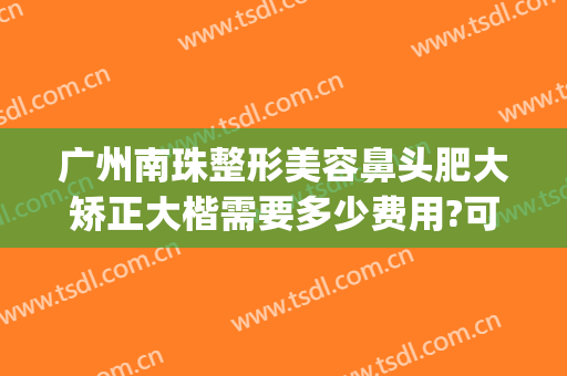 广州南珠整形美容鼻头肥大矫正大楷需要多少费用?可靠吗?(广州鼻子整容大概多少钱)