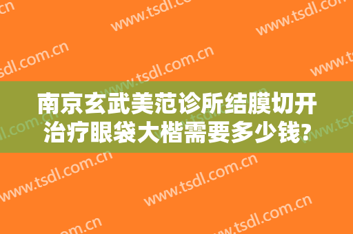 南京玄武美范诊所结膜切开治疗眼袋大楷需要多少钱?靠谱吗?