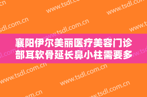 襄阳伊尔美丽医疗美容门诊部耳软骨延长鼻小柱需要多少费用?效果怎么样?