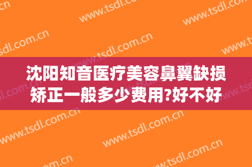 沈阳知音医疗美容鼻翼缺损矫正一般多少费用?好不好?(知音医疗整形美容医院)