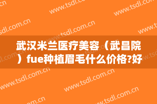 武汉米兰医疗美容（武昌院）fue种植眉毛什么价格?好不好?(杭州种植眉毛哪家医院正规)