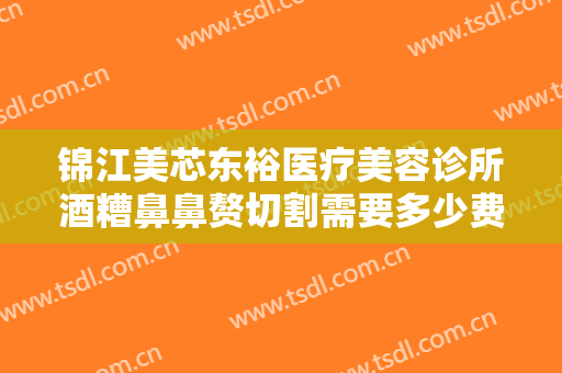 锦江美芯东裕医疗美容诊所酒糟鼻鼻赘切割需要多少费用?效果怎么样?