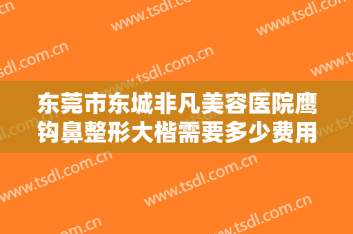 东莞市东城非凡美容医院鹰钩鼻整形大楷需要多少费用?靠谱吗?