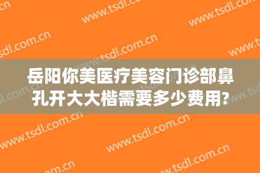 岳阳你美医疗美容门诊部鼻孔开大大楷需要多少费用?好不好?(岳阳整形美容医院)