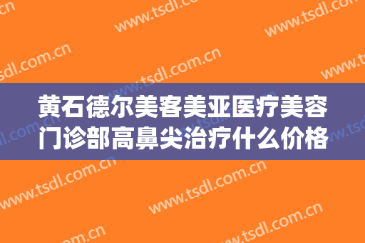 黄石德尔美客美亚医疗美容门诊部高鼻尖治疗什么价格?好不好?(上海市中英文核酸检测机构)