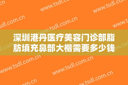 深圳港丹医疗美容门诊部脂肪填充鼻部大楷需要多少钱?怎么样?