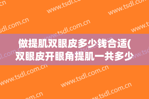 做提肌双眼皮多少钱合适(双眼皮开眼角提肌一共多少钱)