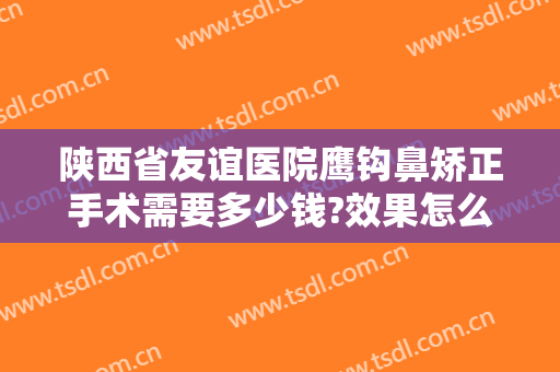 陕西省友谊医院鹰钩鼻矫正手术需要多少钱?效果怎么样?