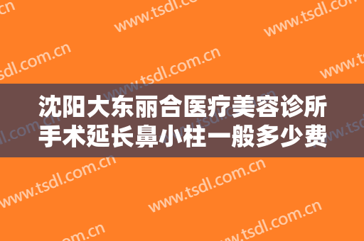 沈阳大东丽合医疗美容诊所手术延长鼻小柱一般多少费用?需要多久恢复?