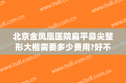 北京金凤凰医院扁平鼻尖整形大楷需要多少费用?好不好?(北京鼻梁骨歪了矫正要多少钱)