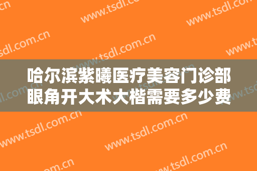 哈尔滨紫曦医疗美容门诊部眼角开大术大楷需要多少费用?贵不贵?
