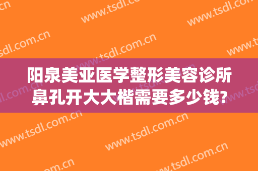 阳泉美亚医学整形美容诊所鼻孔开大大楷需要多少钱?需要多久恢复?(阳泉美亚整形医院)