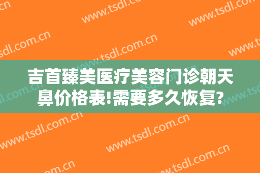 吉首臻美医疗美容门诊朝天鼻价格表!需要多久恢复?