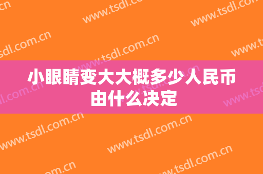 小眼睛变大大概多少人民币 由什么决定