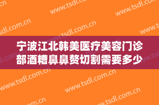 宁波江北韩美医疗美容门诊部酒糟鼻鼻赘切割需要多少钱?靠谱吗?(酒糟鼻切割术价格)