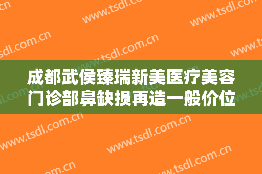 成都武侯臻瑞新美医疗美容门诊部鼻缺损再造一般价位是多少?怎么样?