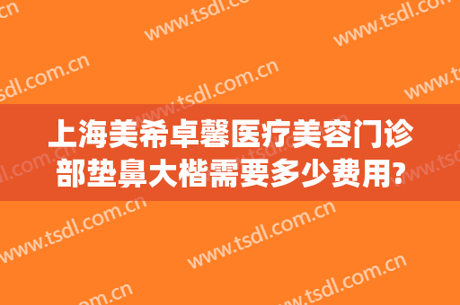 上海美希卓馨医疗美容门诊部垫鼻大楷需要多少费用?靠谱吗?(上海美希卓馨医疗美容正规吗)