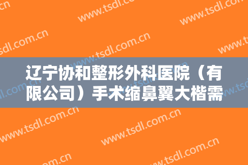 辽宁协和整形外科医院（有限公司）手术缩鼻翼大楷需要多少费用?好不好?