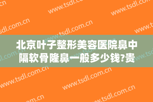 北京叶子整形美容医院鼻中隔软骨隆鼻一般多少钱?贵不贵?(耳软骨隆鼻整容多少钱)
