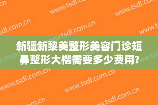 新疆新黎美整形美容门诊短鼻整形大楷需要多少费用?好不好?(新疆黎美整形医院怎么样)