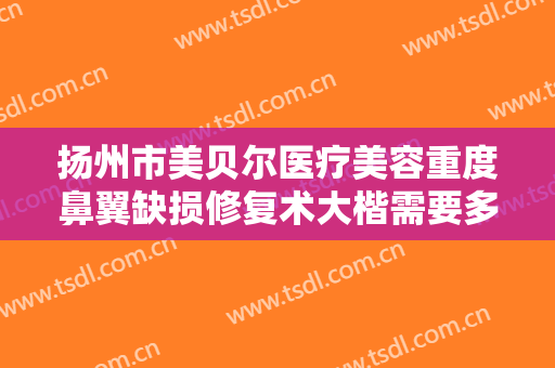 扬州市美贝尔医疗美容重度鼻翼缺损修复术大楷需要多少钱?多长时间恢复?