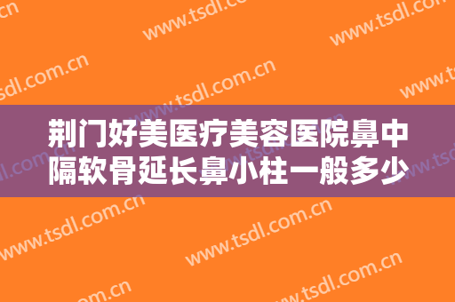 荆门好美医疗美容医院鼻中隔软骨延长鼻小柱一般多少钱?有哪些优势?