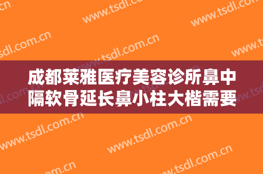 成都莱雅医疗美容诊所鼻中隔软骨延长鼻小柱大楷需要多少钱?好不好?