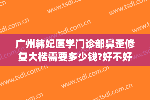 广州韩妃医学门诊部鼻歪修复大楷需要多少钱?好不好?(广州韩后崔东做鼻修复怎么样)