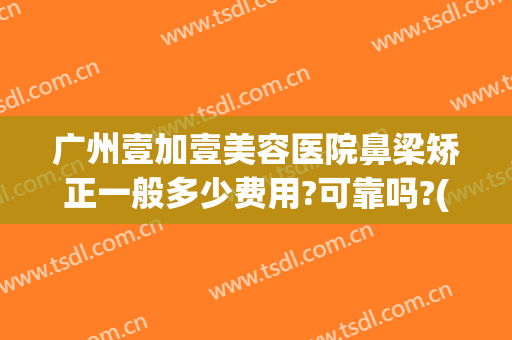 广州壹加壹美容医院鼻梁矫正一般多少费用?可靠吗?(广州壹美整形医院)