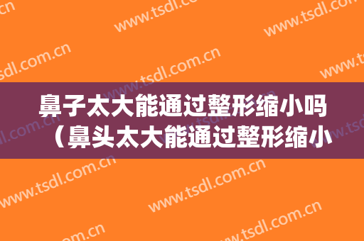 鼻子太大能通过整形缩小吗（鼻头太大能通过整形缩小吗）(鼻头太大可以缩小吗)