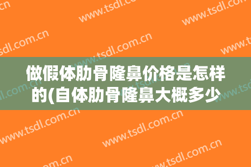 做假体肋骨隆鼻价格是怎样的(自体肋骨隆鼻大概多少钱)