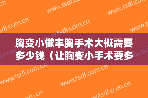 胸变小做丰胸手术大概需要多少钱（让胸变小手术要多少钱）(让胸变小的手术多少钱)