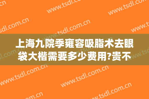 上海九院季雍容吸脂术去眼袋大楷需要多少费用?贵不贵?(上海九院去眼袋多少钱)