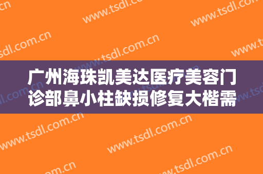 广州海珠凯美达医疗美容门诊部鼻小柱缺损修复大楷需要多少费用?怎么样?