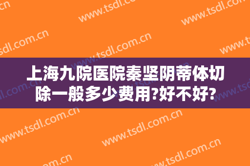 上海九院医院秦坚阴蒂体切除一般多少费用?好不好?