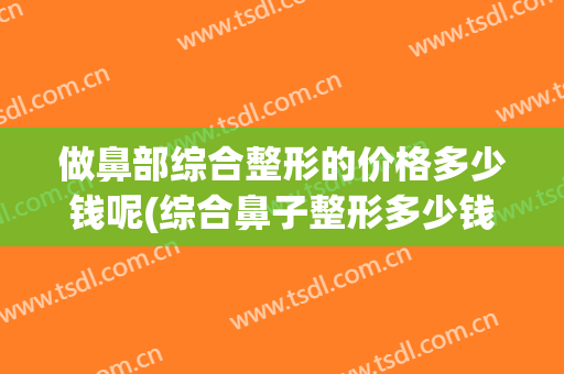 做鼻部综合整形的价格多少钱呢(综合鼻子整形多少钱)