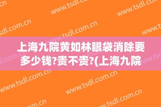 上海九院黄如林眼袋消除要多少钱?贵不贵?(上海九院眼袋修复多少钱)