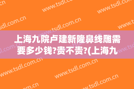 上海九院卢建新隆鼻线雕需要多少钱?贵不贵?(上海九院隆鼻大概需要多少钱)