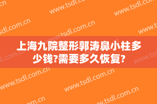 上海九院整形郭涛鼻小柱多少钱?需要多久恢复?